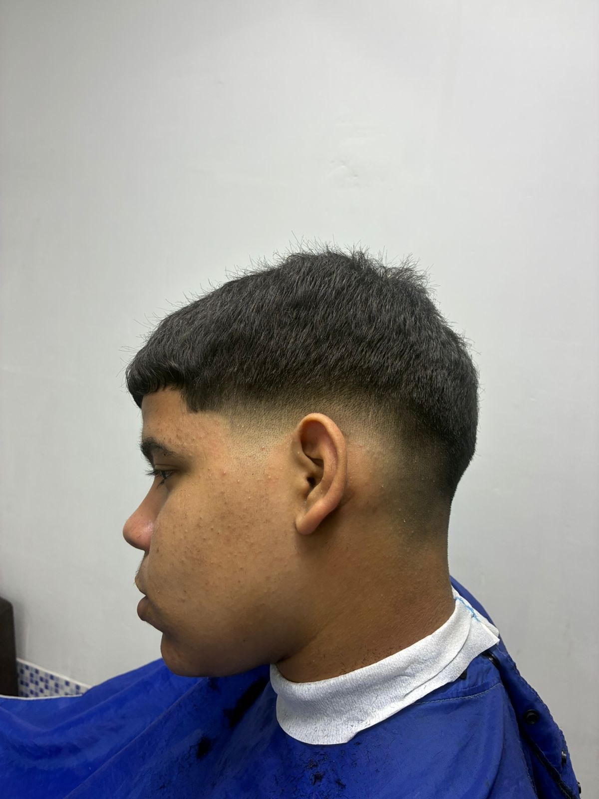 Corte Timberg