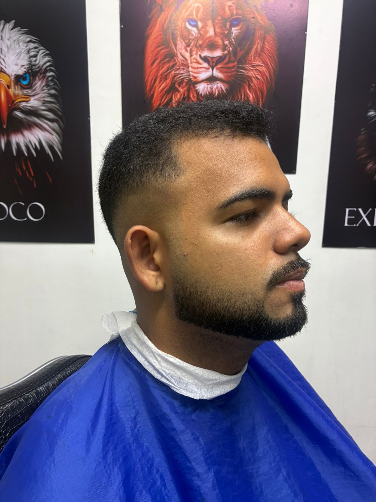 Corte Timberg