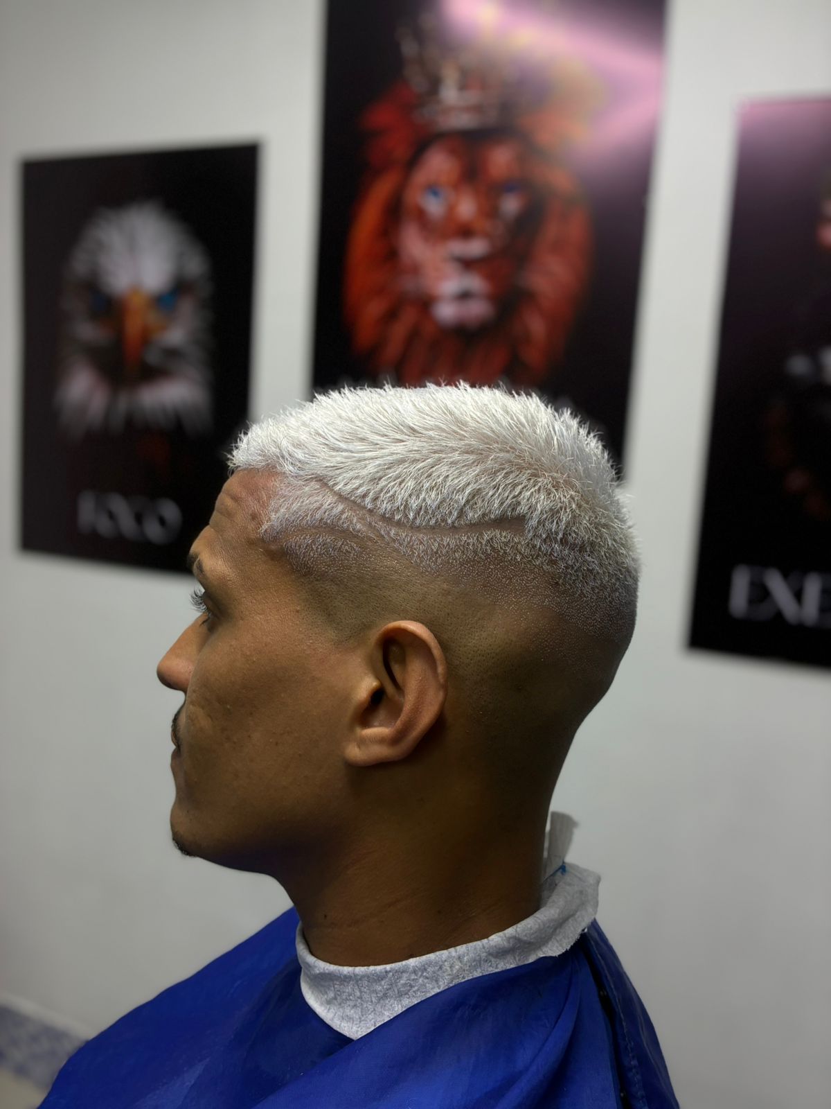Corte Timberg